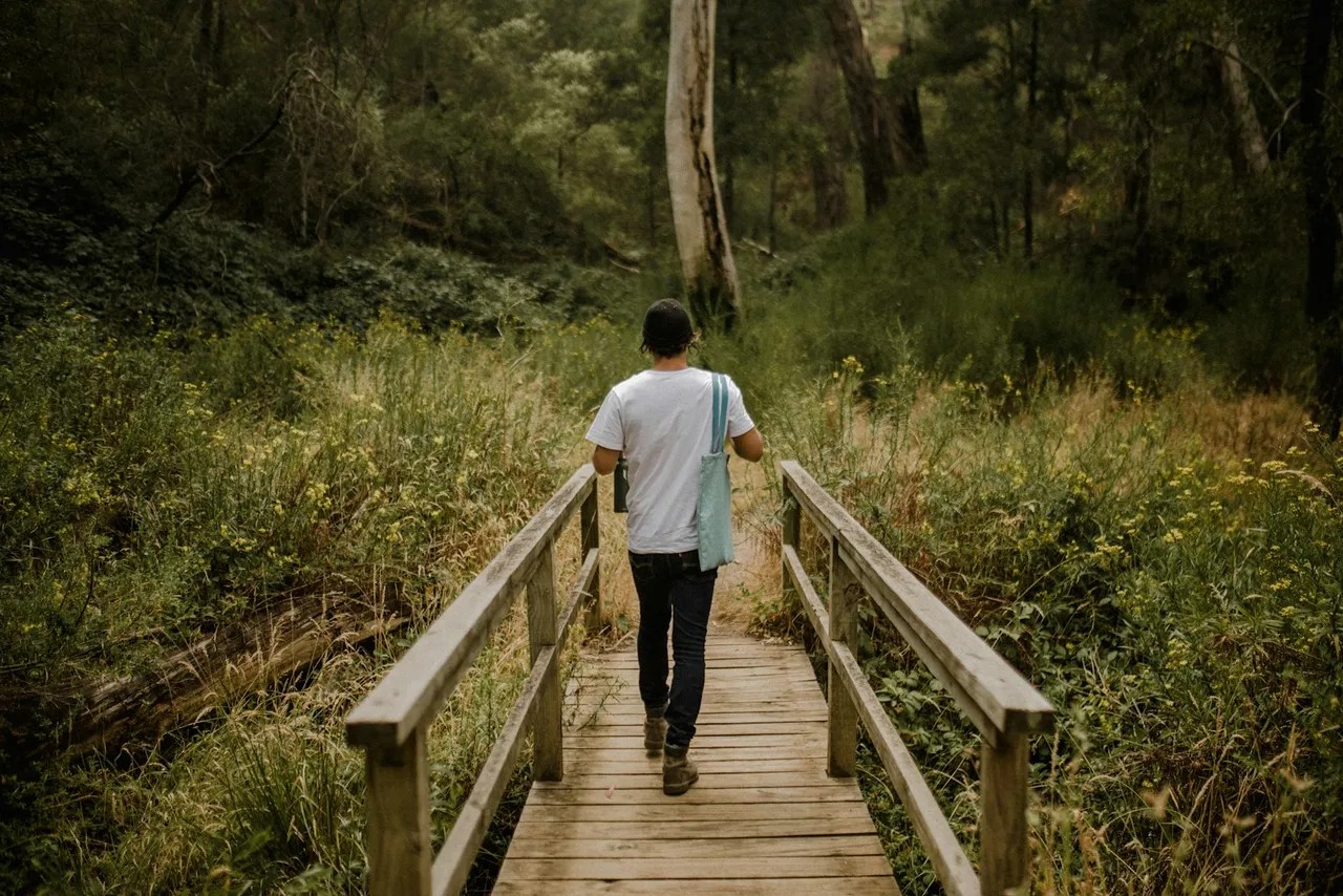 An adult seen from behind walking over a wooden footbridge into a green woodland.